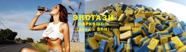 ECSTASY Алзамай