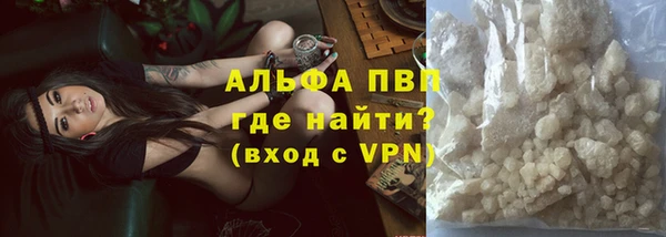 ECSTASY Алзамай