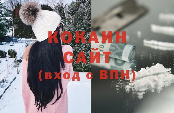 ECSTASY Алзамай