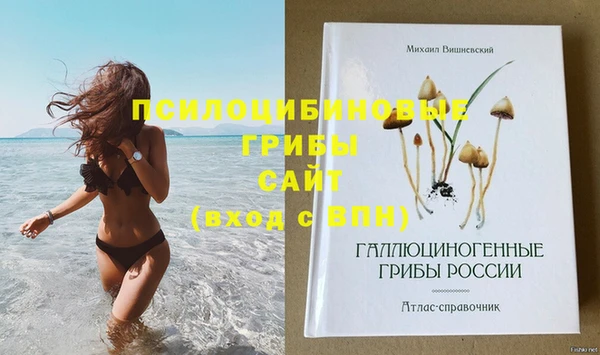 ECSTASY Алзамай